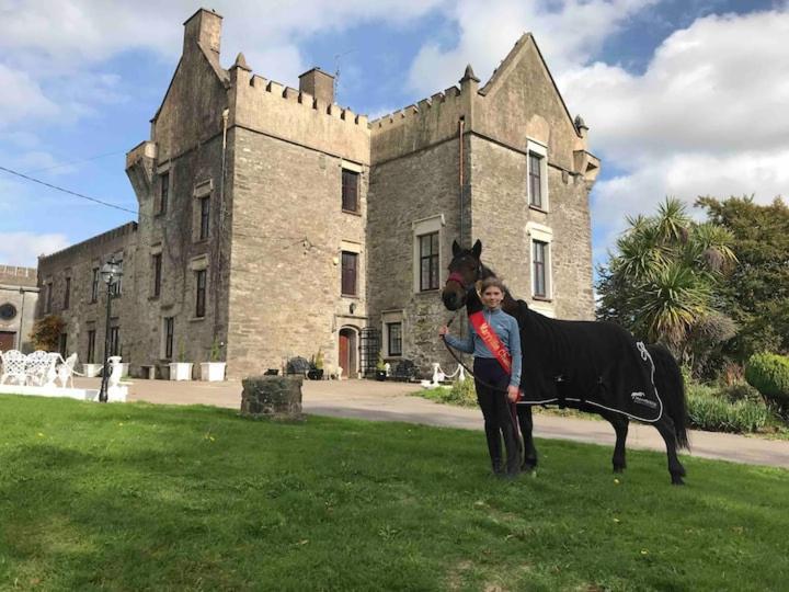 Ballea Castle Cork Luaran gambar